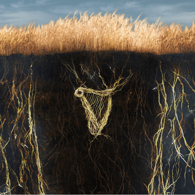 Image of the Guinness harp as roots in the soil